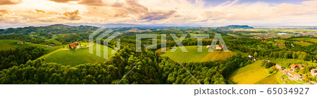 Aerial panorama of of green hills and vineyards 65034927