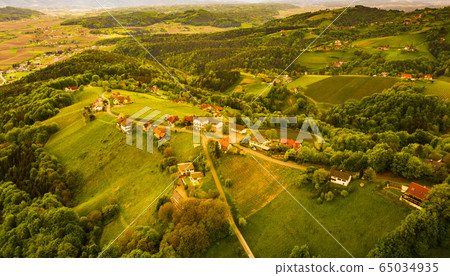 Aerial view of of green hills and vineyards with Aerial view of of green hills and vineyards with 65034935