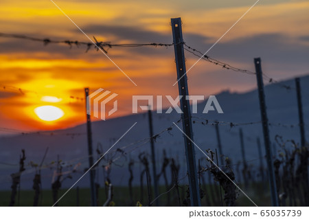 Sunrise in Palava with Devicky ruins, Southern Sunrise in Palava with Devicky ruins, Southern 65035739