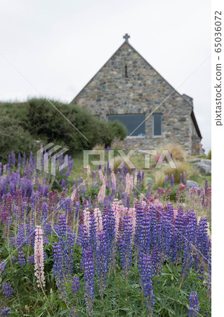 The church of the good shepherd The church of the good shepherd 65036072