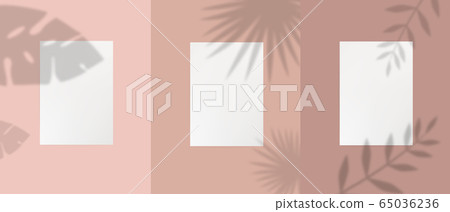 Set of empty white a4 paper template sheet with plant leaves, foliage and branches shadow Set of empty white a4 paper template sheet with plant leaves, foliage and branches shadow 65036236