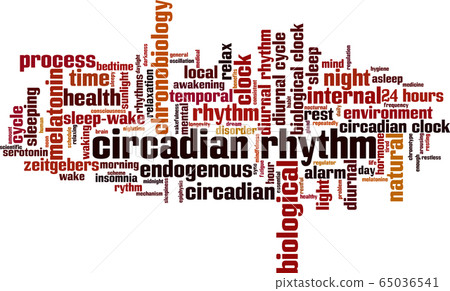 Circadian rhythm word cloud 65036541
