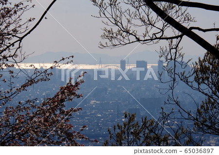 A distant view of the city of Osaka from the middle of the Ikoma mountain range 65036897