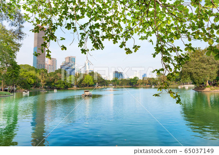 Lumphini park with lake and skyscrapers on skyline Lumphini park with lake and skyscrapers on skyline 65037149