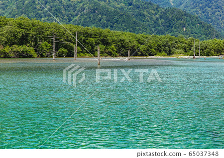 Kamikochi / Taishoike (Nagano Prefecture) 65037348