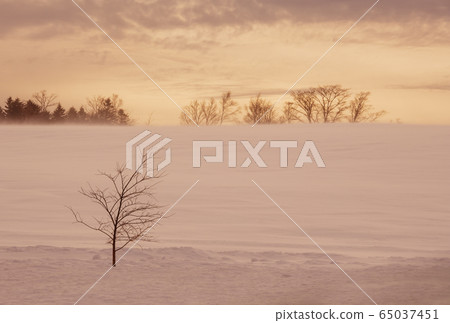 Snow fields in Hokkaido Snow scenes in Akan National Park Winter image of Hokkaido 65037451