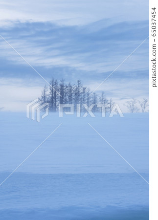 Snow fields in Hokkaido Snow scenes in Akan National Park Winter image of Hokkaido Snow fields in Hokkaido Snow scenes in Akan National Park Winter image of Hokkaido 65037454