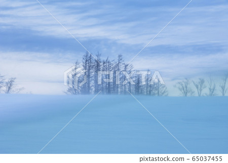 北海道的雪原阿寒國家公園的雪景北海道的冬季形象 65037455