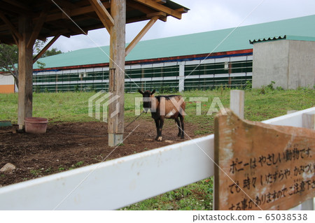 Kurobe Ranch Village (Toyama Prefecture) Kurobe Ranch Village (Toyama Prefecture) 65038538