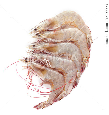 Fresh shrimps,prawns isolated on white background Fresh shrimps,prawns isolated on white background 65038565
