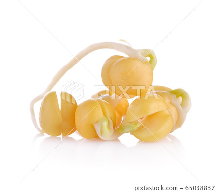 Pea sprouts isolated on white background. Pea sprouts isolated on white background. 65038837