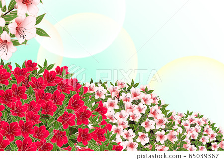 Azalea blue 65039367