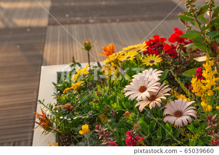 Urban park landscape photo 65039660