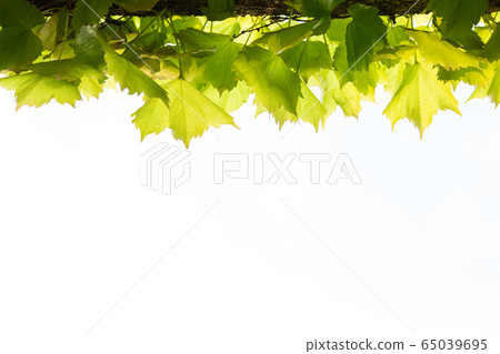 Urban park landscape photo 65039695