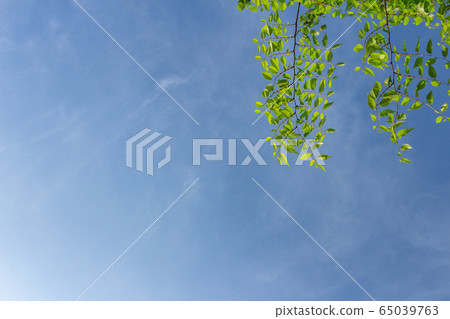 城市公園風景寫真 65039763