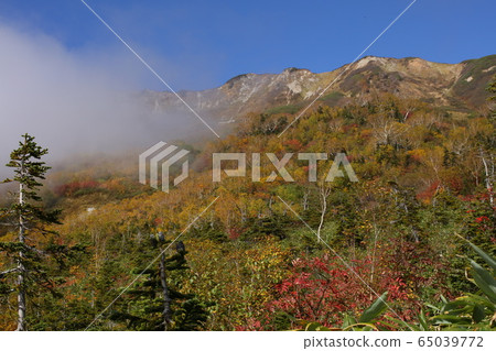 Tsugaike Nature Park 65039772