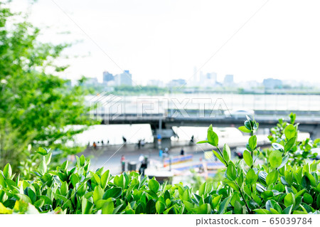 Urban park landscape photo 65039784