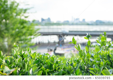 Urban park landscape photo Urban park landscape photo 65039785