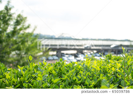 城市公園風景寫真 城市公園風景寫真 65039786