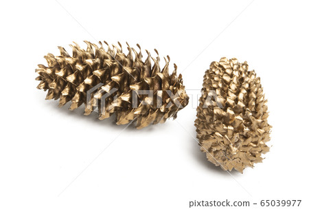 golden pine cones isolated golden pine cones isolated 65039977