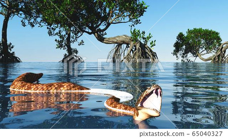Snake in red mangroves on Florida coast 3d rendering Snake in red mangroves on Florida coast 3d rendering 65040327