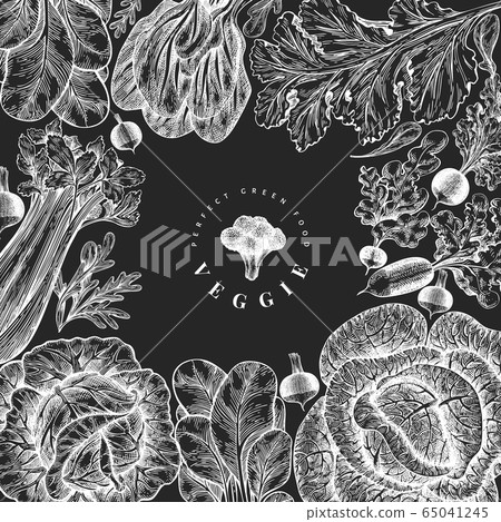 Hand drawn sketch vegetables design. Organic fresh 65041245