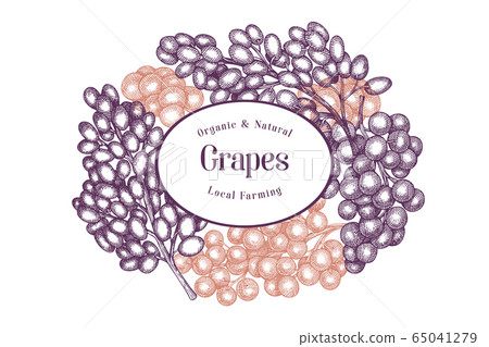 Grape Custom Design Grape design template. Hand drawn vector grape - Stock Illustration ...