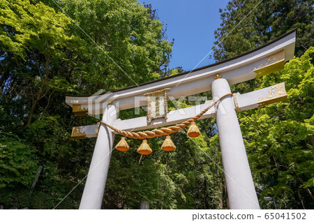 Hodogayama神社鳥居 Hodogayama神社鳥居 65041502