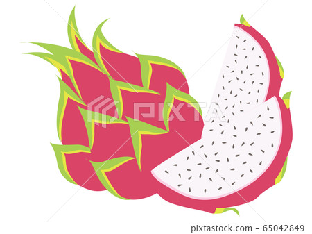 熱帶水果火龍果 熱帶水果火龍果 65042849