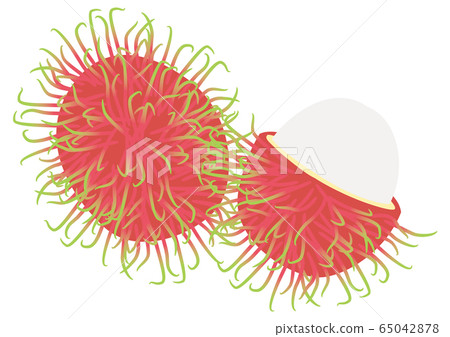熱帶水果紅毛丹 熱帶水果紅毛丹 65042878