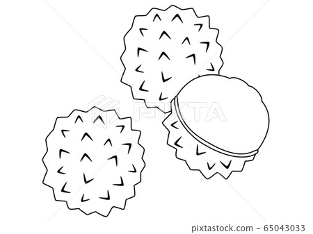 Tropical fruit lychee line drawing 65043033