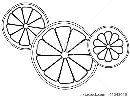 熱帶水果普通話橙色橙色葡萄柚檸檬線描 65043036