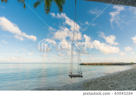 Swing hangs under coconut tree in beautiful tropical Maldives beach in Massfushi Island, Maldives Swing hangs under coconut tree in beautiful tropical Maldives beach in Massfushi Island, Maldives 65043284