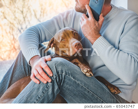Handsome man and a charming puppy. Close-up Handsome man and a charming puppy. Close-up 65043747