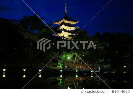 猿澤池塘的夜景[奈良縣奈良市] 65044633