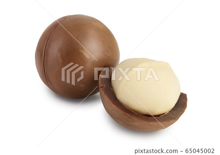 macadamia nuts isolated on white background with clipping path and full depth of field macadamia nuts isolated on white background with clipping path and full depth of field 65045002