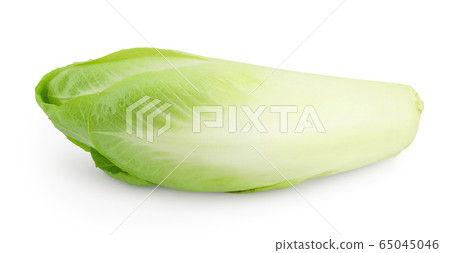 Chicory salad isolated on white background with clipping path and full depth of field. Chicory salad isolated on white background with clipping path and full depth of field. 65045046