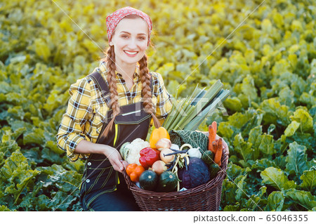 Farmer woman offering basket of healthy organic vegetables 65046355
