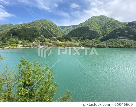 淡澤湖清新綠色風光 淡澤湖清新綠色風光 65046669