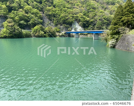 淡澤湖清新綠色風光 65046676