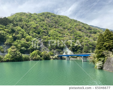 淡澤湖清新綠色風光 淡澤湖清新綠色風光 65046677