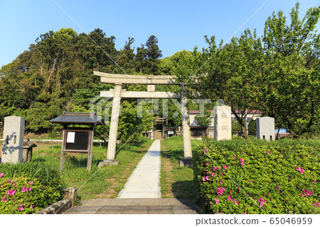 守護森林(春季) 守護森林(春季) 65046959