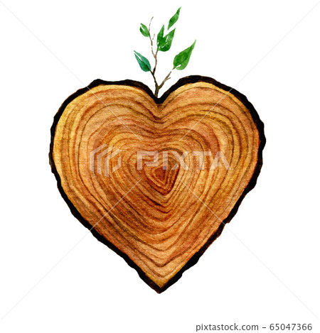 Watercolour wooden Heart isolated on white background. Watercolor heart wood slice illustration.  65047366