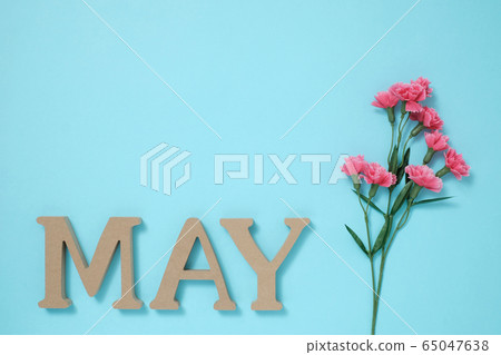 淺藍色背景上的紅色康乃馨的“ MAY”塊 淺藍色背景上的紅色康乃馨的“ MAY”塊 65047638