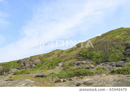 黑崎的鼻子（春天） 65048470