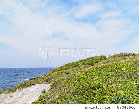 Kurosaki's nose (spring) 65048666