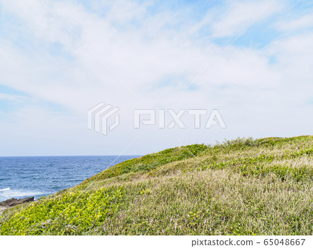 Kurosaki's nose (spring) 65048667