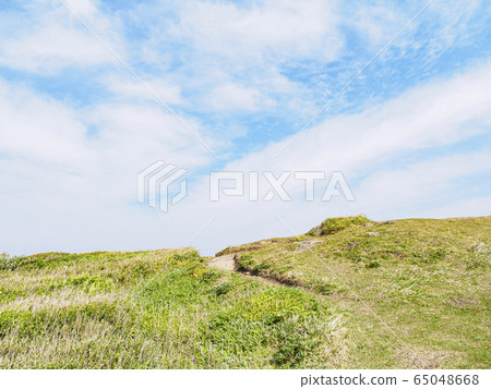 黑崎的鼻子（春天） 65048668