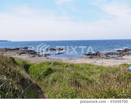 黑崎的鼻子（春天） 65048700