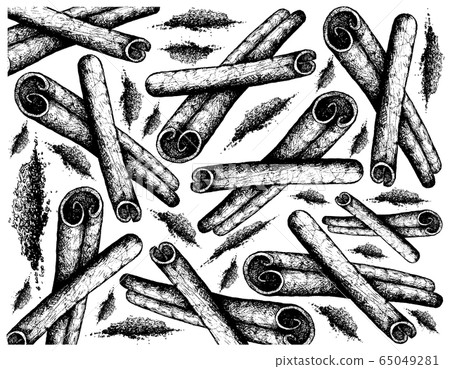 Hand Drawn of Dried Cinnamon Sticks Background - Stock Illustration ...